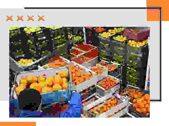 Перевозка скоропортящихся продуктов в Энгельс